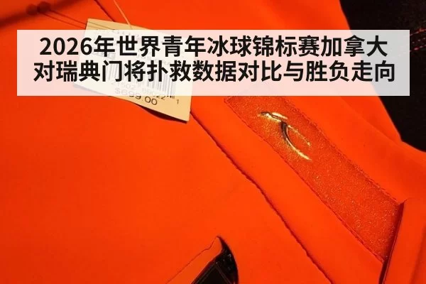 2026年世界青年冰球锦标赛加拿大对瑞典门将扑救数据对比与胜负走向